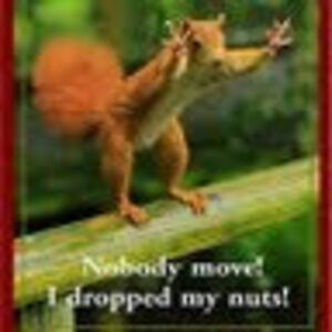 Meet your Posher, Marci